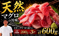 [3回定期便]天然マグロ切り落とし 200g×3P│天然マグロ 切り落とし 刺身 マグロ丼 冷凍 高知県 ふるさと納税 キハダマグロ ビンチョウマグロ メバチマグロ 海鮮 お取り寄せ グルメ 時短 簡単調理 解凍するだけ 一口サイズ 手巻き寿司 具材 ユッケ カルパッチョ 漬け丼 おかず おつまみ ギフト 贈答 贅沢 人気 おすすめ 産地直送 新鮮 晩酌 魚介