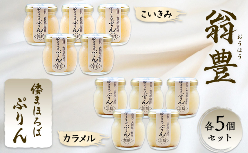 プリン 詰め合わせ 大和まほろば翁豊ぷりん 10個入り こいきみ カラメル 各5個セット 奈良県 大和郡山市 スイーツ お取り寄せ ギフト 贈り物 洋菓子 プレゼント お祝い デザート ぷりん 2668211 - 奈良県大和郡山市