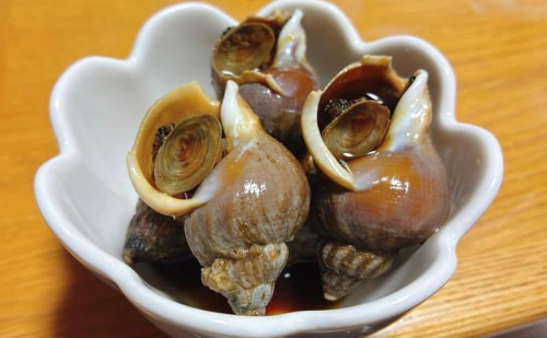 北海道産 ボイル 冷凍 磯つぶ 1kg×1パック つぶ 煮つぶ ツブ 貝 2668217 - 北海道厚岸町