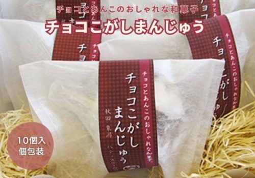 チョコとこしあんが絶妙 チョコこがしまんじゅう 10個 2668570 - 秋田県にかほ市