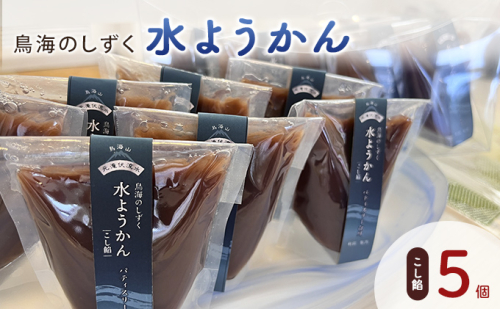 鳥海のしずく 水ようかん（こし餡）5個セット スタンドパック 涼和菓子 2668572 - 秋田県にかほ市