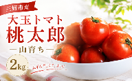【 先行予約 7月発送 】 トマト 2kg 高糖度 大玉トマト 10 ～ 15玉 桃太郎 新鮮 旬 季節 贈り物 ギフト 贈答 プレゼント 野菜 御弁当 おかず サラダ トマトジュース tomato 徳島県 三好市 みよし 三好野呂内野菜生産加工組合