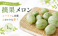 【 先行予約 7月出荷 】 摘果メロン 1kg 20玉 前後 徳島県産 希少 漬物 メロン 家庭用 浅漬 ぬか漬け 酒 日本酒 フルーツ 果物 旬 季節 厳選 高級 人気 送料無料 レノンウェーブ タカミ 青肉メロン 徳島県 三好市 みよし 三好野呂内野菜生産加工組合