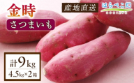 【ホックホク食感の優しい甘み】さつまいも金時 4.5kg 2箱・H117