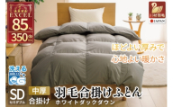 【春秋用】 洗える 羽毛布団 合掛け セミダブル ホワイトダックダウン85% 1.0kg 無地 グレー 中厚 春用 秋用 [川村羽毛 山梨県 韮崎市 20745418] 合い掛け 軽い羽毛 布団  コインランドリー 掛け布団 ダウンかけ布団 ふとん 羽毛ふとん 合掛け布団 エクセルゴールドラベル