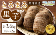 【粘りと甘みが段違い】里芋『とろまろ』土付き・1.8kg 2箱・H119