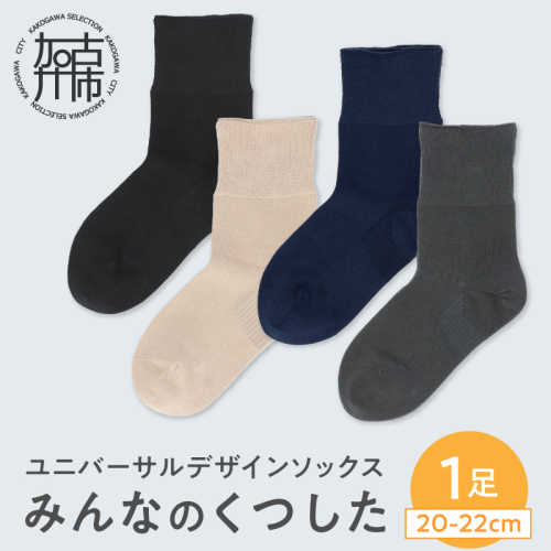 みんなのくつした 1足(20-22cm)(4色よりどり)《 くつした 靴下 ソックス 加古川市 送料無料 》【169001T000】 2669155 - 兵庫県加古川市