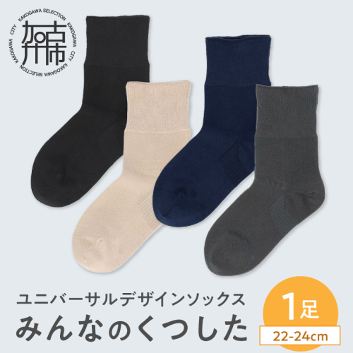 みんなのくつした 1足(22-24cm)（4色よりどり）《 くつした 靴下 ソックス 加古川市 送料無料 》【169002T000】 2669156 - 兵庫県加古川市