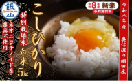 [令和8年産 新米] 特別栽培米 こしひかり 精米 5kg 特別栽培米 『奥信濃の棚田米 実の里』| お米 コメ 白米 ご飯 長野県 信州 飯山市 令和8年 コシヒカリ 産地直送 農家直送(Ck-002)