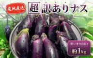 【先行受付】 安田町産 「超」 訳あり ナス なす なすび 1kg  新鮮 野菜 茄子 産地直送 季節限定 夏野菜 ふるさと納税茄子  ふるさと納税なすお漬物 漬物 味噌汁 みそ汁 マーボーナス 麻婆ナス 麻婆茄子 煮びたし 天ぷら フライ はさみ揚げ 煮浸し 焼なす やきなす 焼きナス 南蛮漬け わけあり 傷 きず 不揃い B級品 伏流水 高知 安田町 安田川 清流 YM-0001