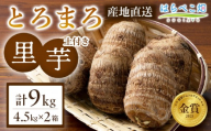 【粘りと甘みが段違い】里芋『とろまろ』土付き 4.5kg 2箱・H121