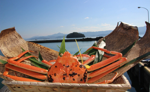 数量限定！おおい町大島の漁協直送【冷凍】越前ガニ（700g） 蟹 カニ 魚介類  26693 - 福井県おおい町
