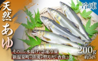 【旬の天然あゆをお届け】天然あゆ（200g 約5匹） 1箱 鮎 あゆ 天然あゆ 香魚 鮮度 清流育ち 夏の味覚 BBQ 産地直送 ギフト 手土産 贈答用 贈り物  浜坂産 兵庫県