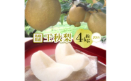＜訳あり＞王秋梨 4kg(4～13玉前後)【1733695】