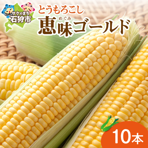 石狩産スイートコーン（色：イエロー） 10本【8月～9月発送】｜野菜 とうもろこし 北海道 石狩市 2669590 - 北海道石狩市