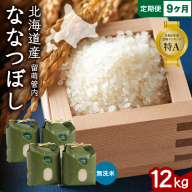 9ヵ月定期便 北海道 留萌管内産 ななつぼし 無洗米 12kg(3kg×4袋) R004-067