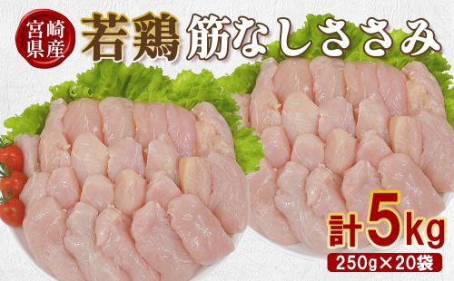 宮崎県産 若鶏筋なしささみ 5kgセット (250g×20袋) 鶏肉 ささみ 鶏ささみ 小分け 真空パック タンパク質 チキン冷凍 国産 宮崎県産 九州 送料無料 2669601 - 宮崎県えびの市