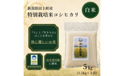 令和8年産 特別栽培米コシヒカリ 5kg 2669951 - 新潟県田上町