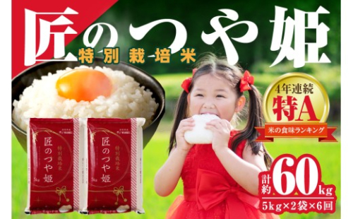 【令和７年産】【定期便】特別栽培米「匠のつや姫」（10kg×6回コース） 【058_1858】 2669962 - 島根県浜田市