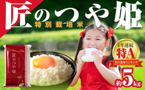 【令和７年産】特別栽培米「匠のつや姫」５ｋｇ 【058_1859】 2669963 - 島根県浜田市