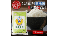 7月下旬発送開始／【12回定期便】無洗米 はえぬき　5kg×12回(計60kg) TO SP0018