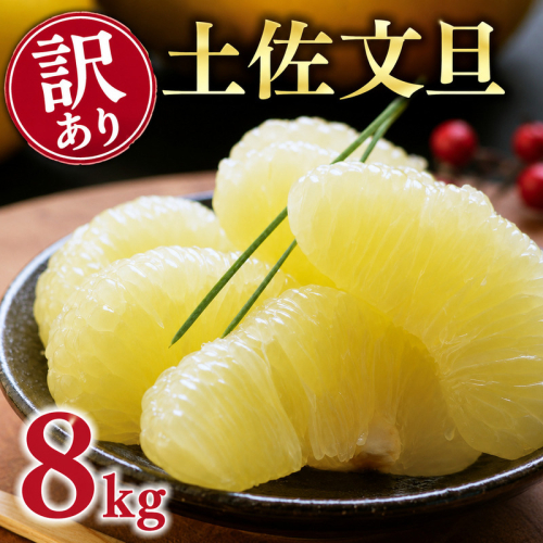 【先行予約：2026年12月中旬～発送】 訳あり 土佐 文旦 8kg (Mサイズ以上サイズミックス) 8000円 わけあり ぶんたん みかん mikan 蜜柑 ミカン 土佐文旦 家庭用 産地直送 国産 農家直送 期間限定 特産品 サイズミックス くらもとファーム 愛南町 愛媛県 2670117 - 愛媛県愛南町