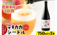 未来を育てるりんごのお酒 テキカカシードル（こうとく）フルボトル 750ml×2本入 お酒 青森 弘前 林檎 リンゴ [もりやま園 クラフトシードル 高徳 こうとく 希少品種 林檎酒 750ミリリットル ギフト 贈答 食前酒 食中酒 アルコール分4％ 微炭酸 ミディアム カラメル]