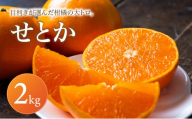せとか 家庭用 2kg [2027年2月中旬頃から順次発送] | みかん ミカン mikan 蜜柑 訳ありフルーツ 柑橘 果物 おすすめ 高級 お勧め 愛媛三大高級柑橘 ( 紅まどんな せとか 甘平 ) お取り寄せ ギフト 愛媛県 松山市