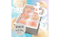 2026年 岡山県産 白桃 家庭用 約2kg（5〜7玉）