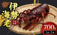 冷凍 伊勢海老 活 700g Nセット 下田産 伊勢エビ 海老 活き締め 国産 海老 えび 刺身 味噌汁 おつまみ バーベキュー BBQ おせち ギフト 贈答 プレゼント 伊豆 辻水産 下田市 静岡県