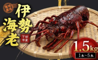 冷凍 伊勢海老 活 1.5kg Oセット 下田産 伊勢エビ 海老 活き締め 国産 海老 えび 刺身 味噌汁 おつまみ バーベキュー BBQ おせち ギフト 贈答 プレゼント 伊豆 辻水産 下田市 静岡県