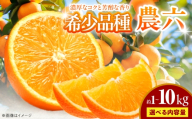 みかん 農六 約10kg【2月上旬から3月下旬まで順次発送】 / フルーツ 果物 蜜柑 ミカン オレンジ 小玉 甘い 先行予約 10kg 愛媛 / 愛媛県砥部町/和氣隆司 [BJBF004]