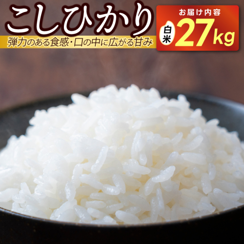 【先行予約・9月中旬より発送】 ★令和8年産★ 山崎観光農園のお米　コシヒカリ　白米27kg｜栃木県 益子町 ふるさと納税 お米 大容量 コシヒカリ 白米 精米 27kg（AU043） 2670530 - 栃木県益子町