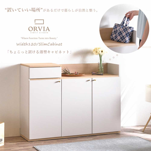 【開梱・設置】リス120 薄型キャビネット 棚 収納 家具 AX178 2670587 - 福岡県大木町