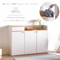 【開梱・設置】リス120 薄型キャビネット 棚 収納 家具 AX178