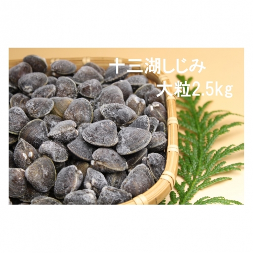 津軽十三湖産 大粒しじみ2.5kg(冷凍・砂抜き済)