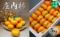【令和8年産】食の都庄内　庄内柿　約5kg　※令和8年10月中旬～11月中旬配送