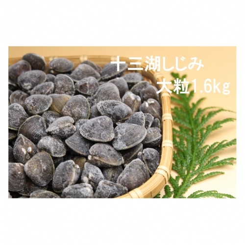 津軽十三湖産 大粒しじみ1.6kg (冷凍・砂抜き済)