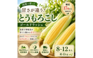 朝採り出荷　長野県茅野市産　とうもろこし　計約4kg【1746415】