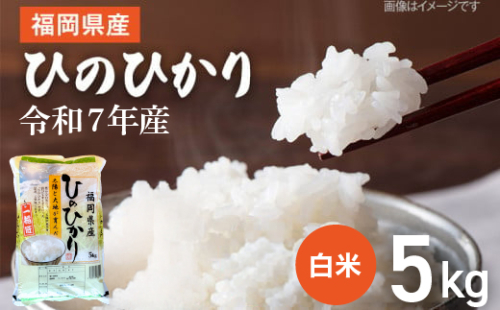 【令和7年産】 福岡県 大木町産 ひのひかり 5kg　BC01-1 2670995 - 福岡県大木町