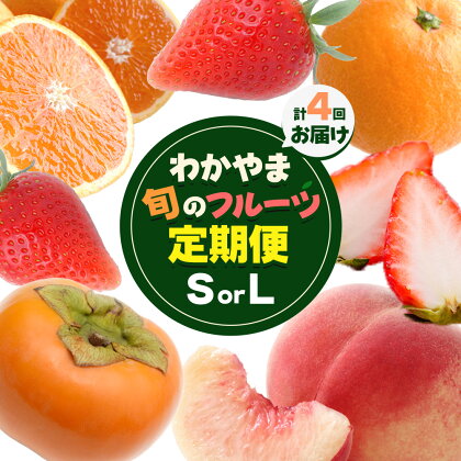 わかやま旬の フルーツ 定期便 【全4回】 選べる 内容量 S L 有田マルシェ《発送月固定・全4回出荷》 和歌山県 日高町 苺 いちご 柑橘 オレンジ 小玉 みかん 有田 みかん たねなし柿 柿 桃 モモ もも 果物 定期 柑橘 果物【配送不可地域あり】 2670996 - 和歌山県日高町
