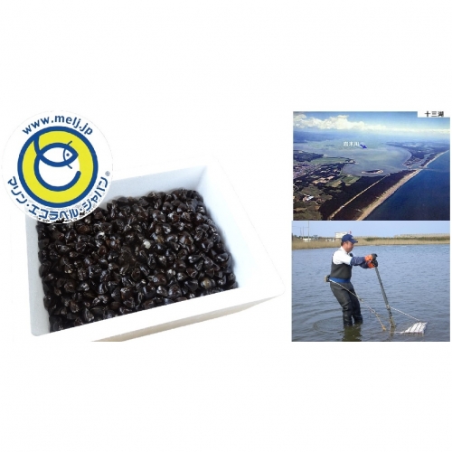 十三湖産 大和しじみ(中貝)4kg(冷凍・砂抜き済)