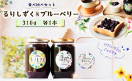 るりしずく＆ブルーベリージャム 食べ比べセット（大瓶2本） ／ ジャム 食べ比べ ジャムセット 無添加ジャム 保存料不使用 着色料不使用 果実感 朝食 トースト ヨーグルト お取り寄せ ギフト 贈答用 農薬不使用 ブルーベリー るりしずく 大瓶 手作りジャム 国産フルーツ ジャム好き スイーツ作り千葉県 No.095