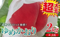 福島の桃 【極大玉】ゆめかおり2kg（4～6玉） 先行予約 フルーツ 果物 もも モモ momo F20C-372