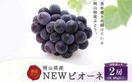 ニューピオーネ 2房 ( 1房 480g以上 ) 化粧箱入り ぶどう ブドウ 葡萄 フルーツ 果物 くだもの ギフト 贈答 プレゼント 国産 [ 2026年8月下旬〜10月上旬迄順次発送予定 ]