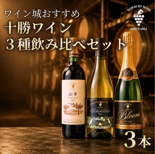 【ふるさと納税】十勝ワイン いけだワイン城おすすめ 3種飲み比べセット 赤ワイン 山幸 白ワイン シャルドネ スパークリング ブルーム白 北海道ワイン 北海道 池田町 2671591 - 北海道池田町