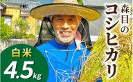 [令和8年産 新米 先行予約][白米]福井県大野市 森目のコシヒカリ4.5kg | お米 米 こめ 白米 コシヒカリ お米 精米 玄米 白米 こめ コメ お米 2026年産 おこめ ご飯 ごはん 送料無料 国産 白飯 産地直送 R8 おいしい ふるさと納税 R8
