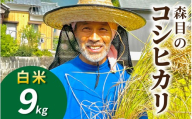 【令和8年産 新米 先行予約】【白米】福井県大野市　森目のコシヒカリ9.0kg |  お米 米 こめ 白米 コシヒカリ お米 精米 玄米 白米 こめ コメ お米 2026年産 おこめ ご飯 ごはん 送料無料 国産 白飯 産地直送 R8 おいしい ふるさと納税 R8