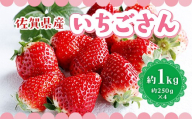 【いちごさん】佐賀県産いちご 約1kg いちご イチゴ 苺 ストロベリー  果物 フルーツ 新鮮 果汁 甘い あまい 佐賀県 太良町 【2027年2月上旬～3月下旬発送予定】 NB46