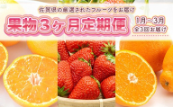 【3回定期便】旬の果物3か月定期便（温州みかん、いちご、不知火） いちご イチゴ 苺 ストロベリー  しらぬい 不知火 デコポン でこぽん みかん 蜜柑 ミカン 果物 フルーツ 新鮮 佐賀県 太良町 QD3 【2027年1月上旬～3月下旬のお届け】